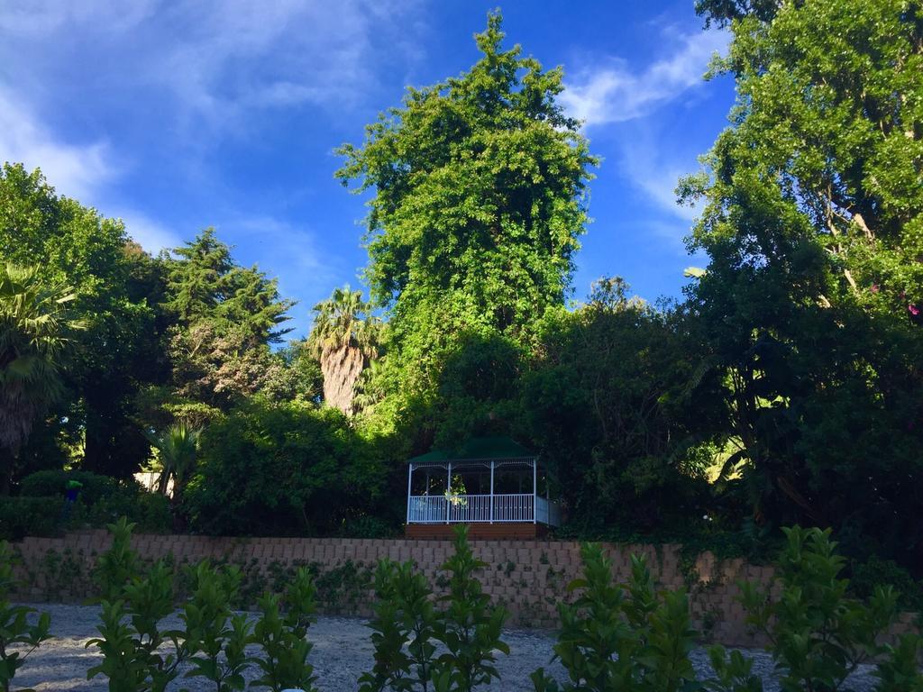 The White Manor Bed & Breakfast Cape Town Exterior photo